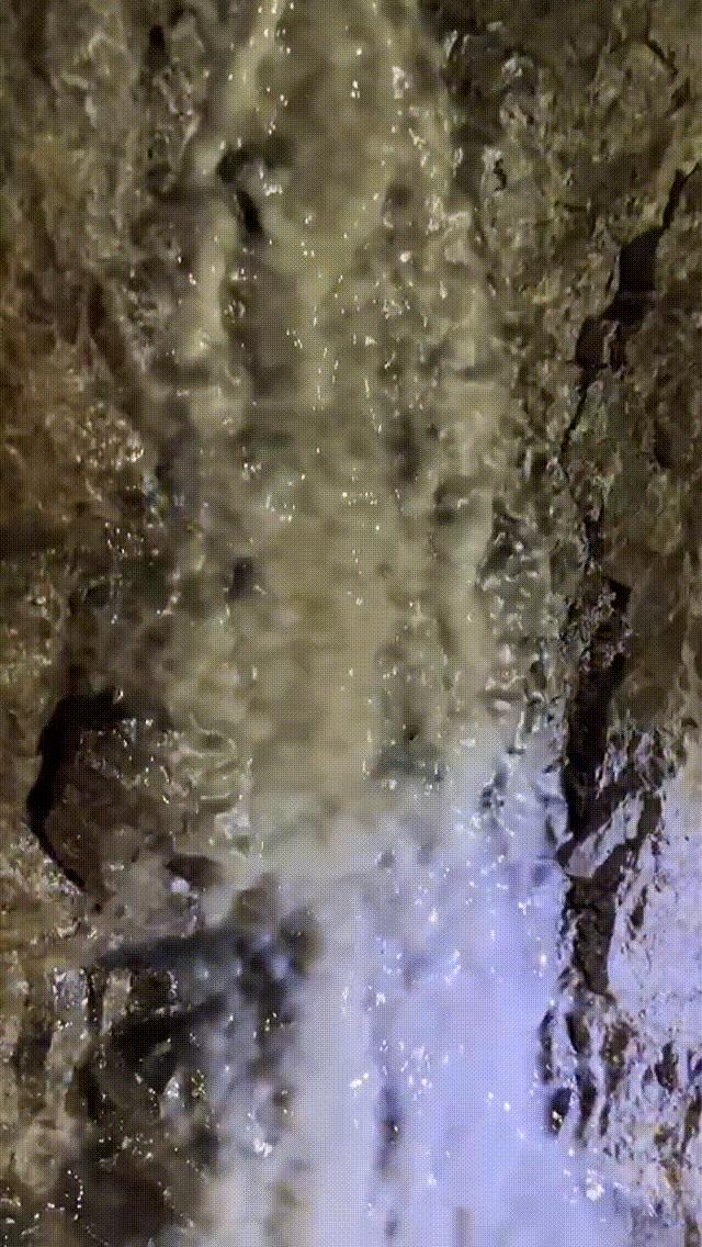 DƬ